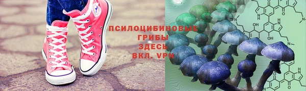 гашик Балабаново